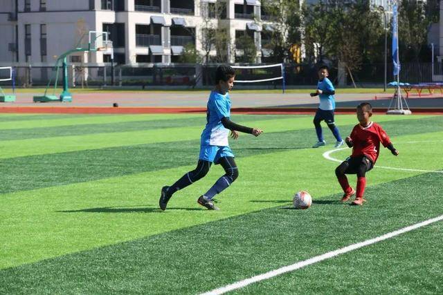 郑薇留在现场侦查决赛对手 日本23分大胜韩国